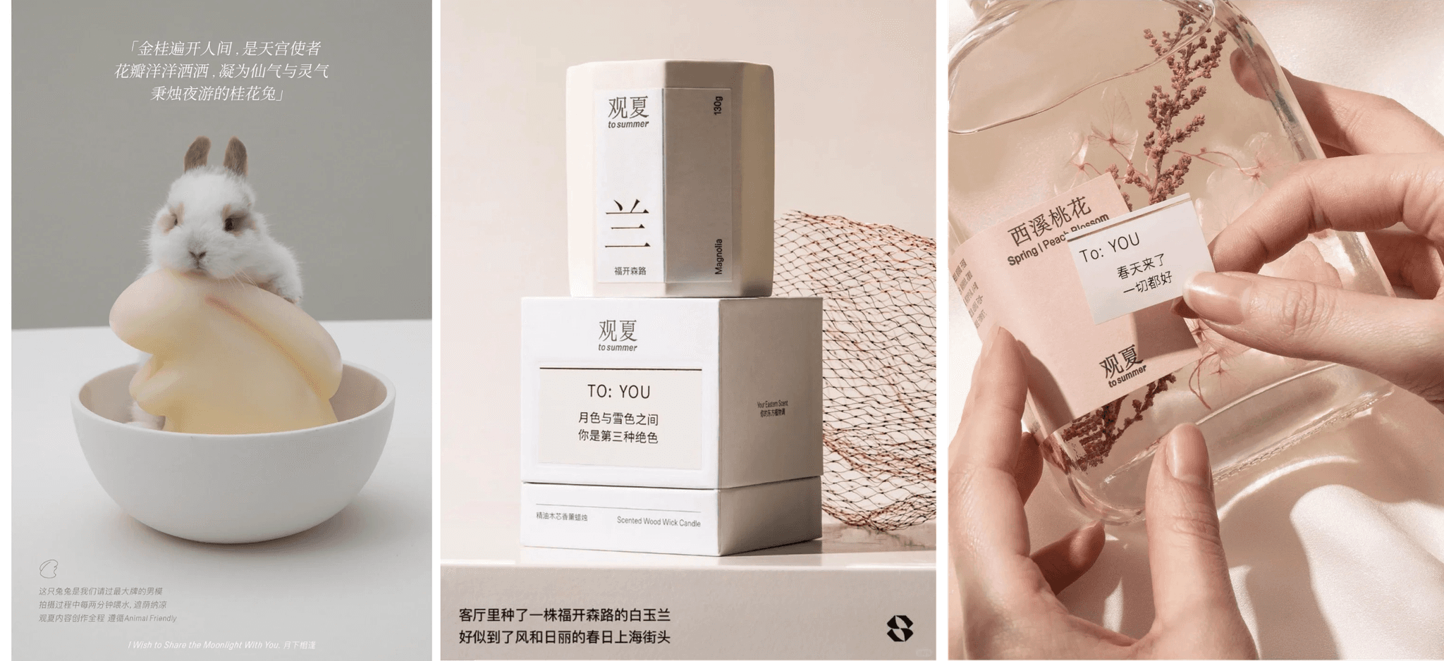 更适合初创品牌的品牌营销“新五感”理论，建议收藏！ - uBrand博客